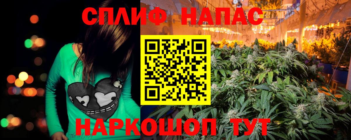 Вязники  Бошки марихуана White Widow  Вход с VPN  Марихуана планчик  Каннабис LSD WEED  Шишки марихуана THC 21% 
